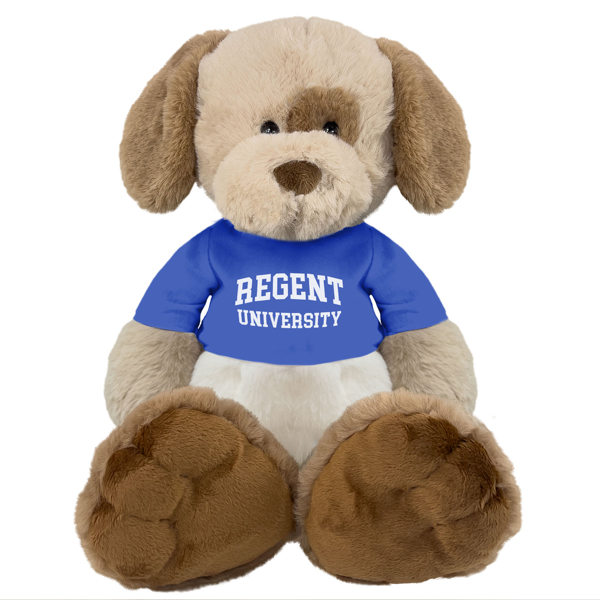Floppy Dog Plushie